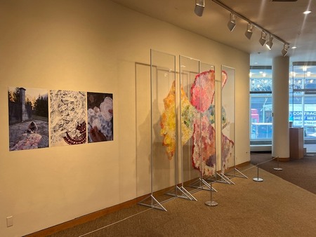 PTICA UPANJA ZA MIR V NEW YORKU