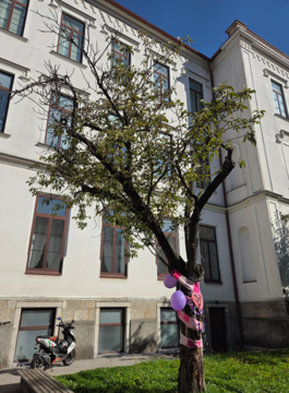 ROŽNATI OKTOBER IN JESEN ZA ZDRAVJE ŽENSK