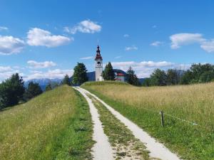 IMG_20200622_170106_resized_20200819_105900507