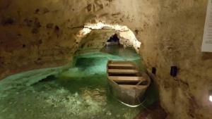 Mednarodna ekskurzija v Bakony-Balaton Geopark na Madžarskem