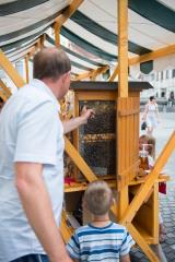 Tri čebelam najbolj prijazne občine leta 2015 so se predstavile v Zeleni prestolnici Evrope