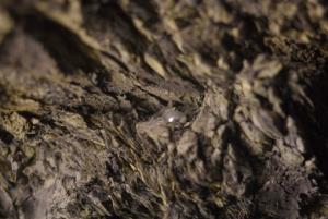 3 - kapljica živega srebra