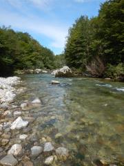 DSCN7063